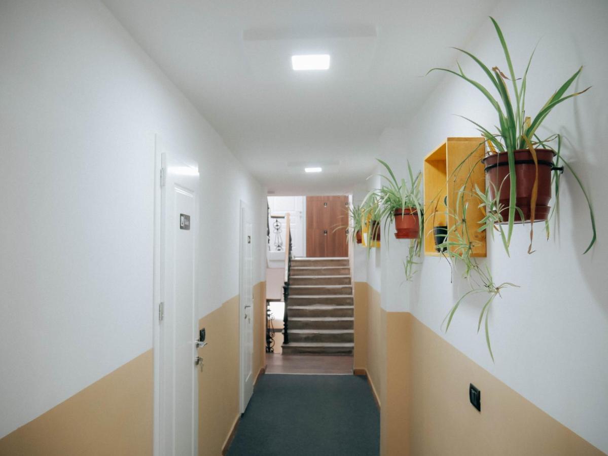 The Maze Hostel Tirana Kültér fotó