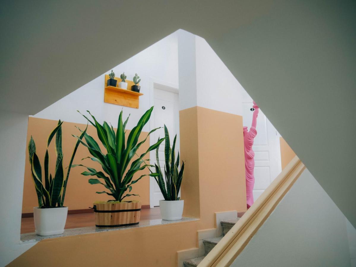 The Maze Hostel Tirana Kültér fotó