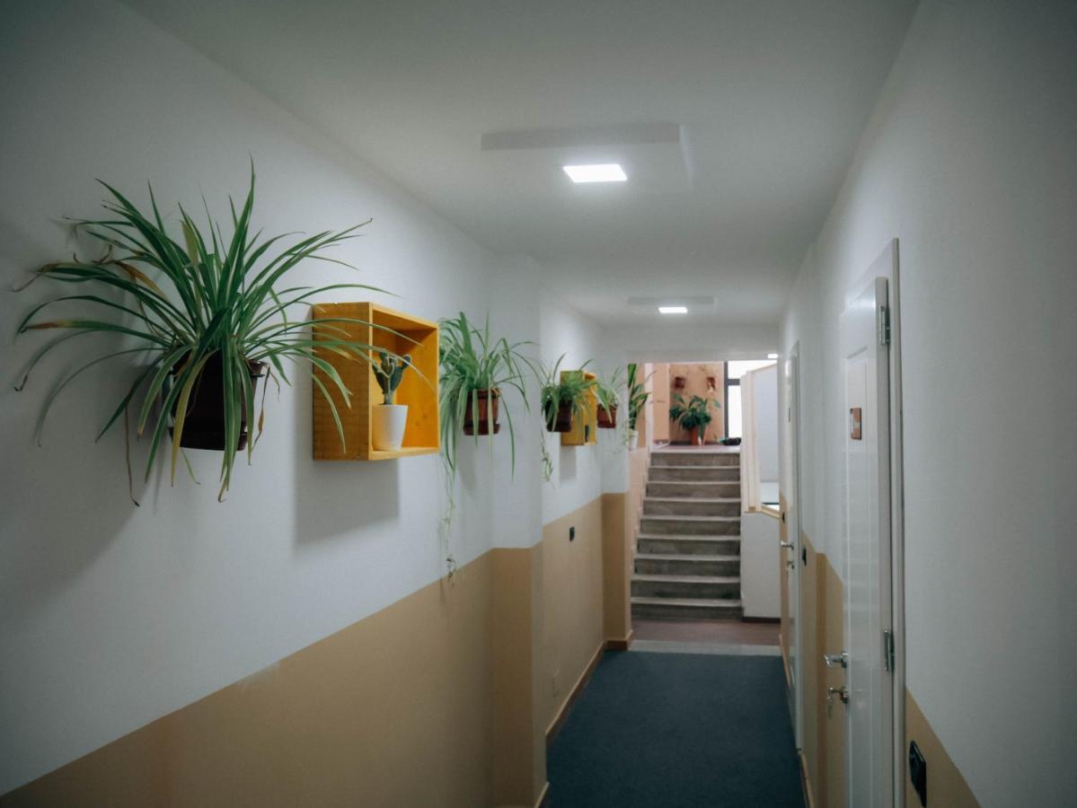 The Maze Hostel Tirana Kültér fotó